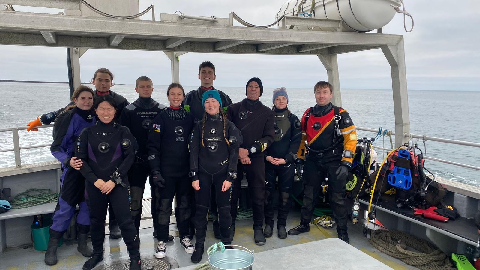 Farne Islands 2024 Trip Report